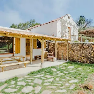 https://el-pino-centenario.in-canary-islands.com