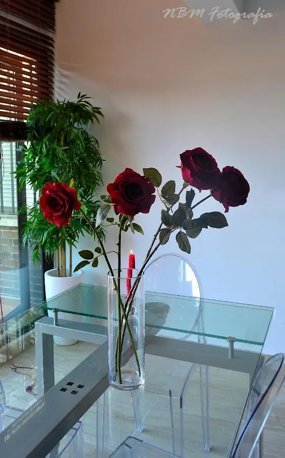 Amazing Frontal Beach Apartment #Traveller'S Awards2023 Cadix